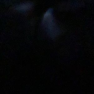 Meet your Posher, Anastasia